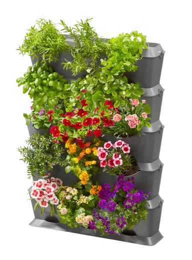 ვერტიკალური რწყვის კომპლექტი Set Vertical with watering