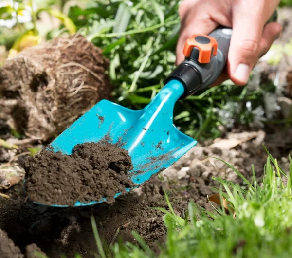 ნიჩაბი ხელის combisystem Hand Trowel