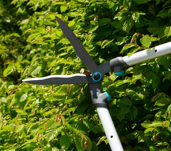მაკრატელი ბუჩქებისთვისHedge Clipper TeleCut
